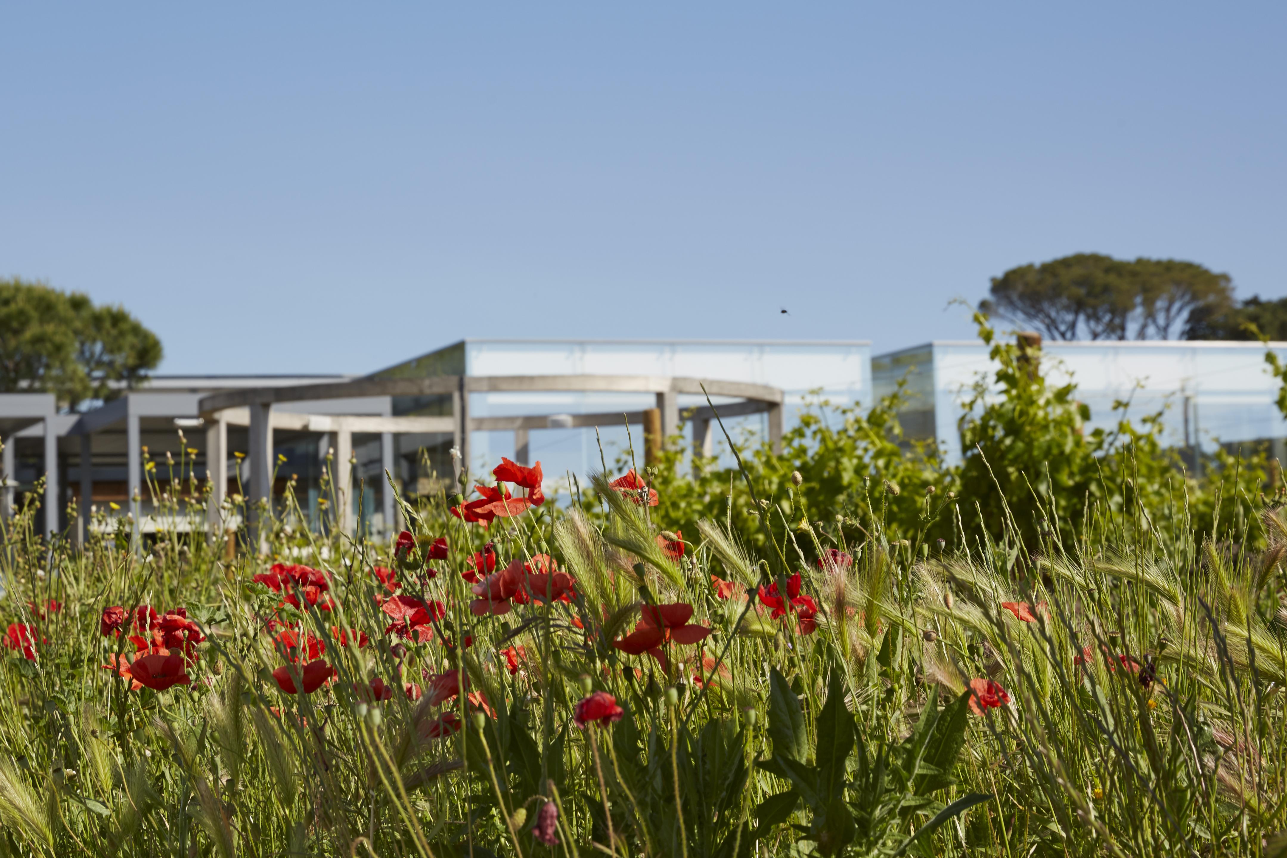 Domaine De Verchant & Spa - Relais & Chateaux Castelnau-le-Lez Eksteriør bilde